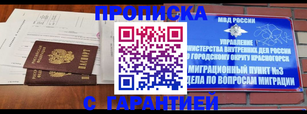 найти адрес прописки в Звенигово